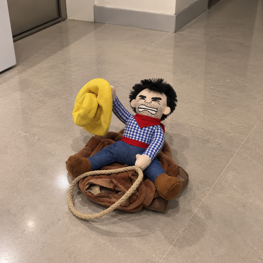 Cowboy costume