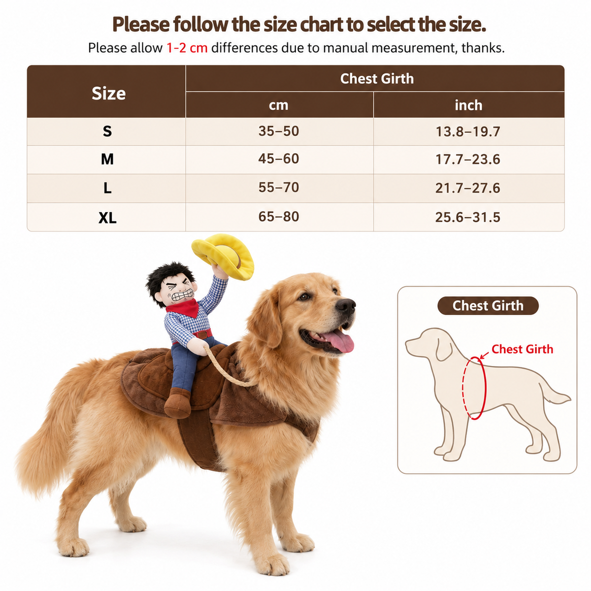 Cowboy costume